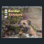 Border Terrier Dog, Medium, White Calendar<br><div class="desc">Border Terrier Dog,  Medium,  White Calendar,  14 lovely photographs of a Border terrier dogs</div>
