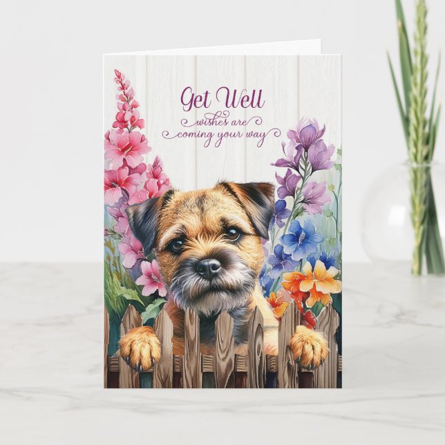 Border Terrier Dog with Gladiolus Garden Get Well Card (Front)