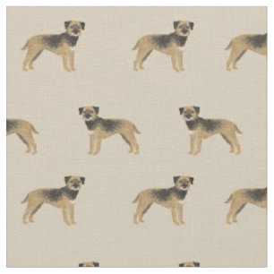 border terrier dogs tan fabric