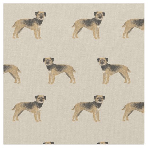 border terrier dogs tan fabric