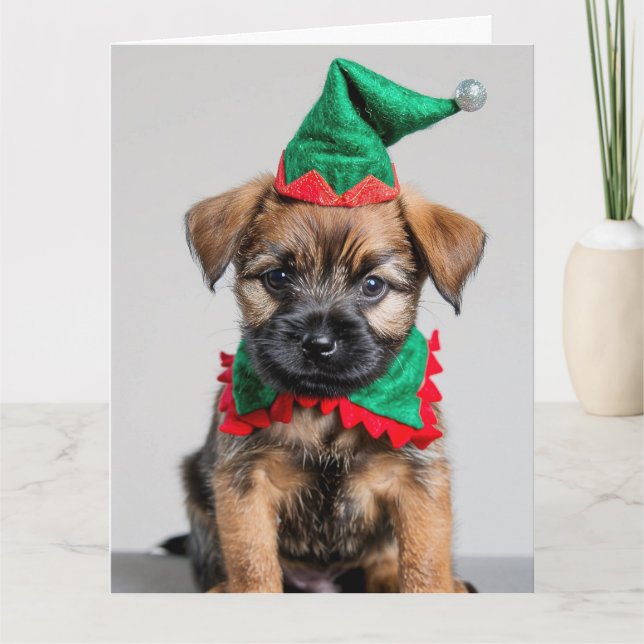 Border Terrier Elf Puppy Christmas Card  (Front)