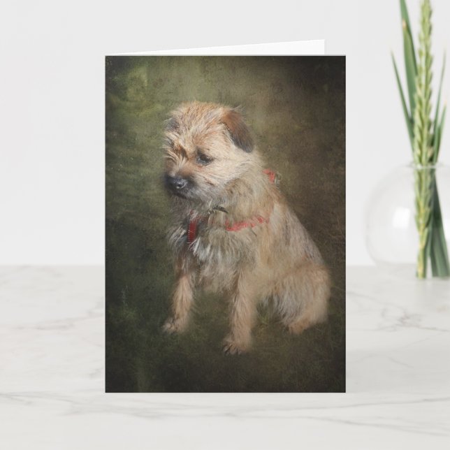 Border Terrier Greetings Card (Front)