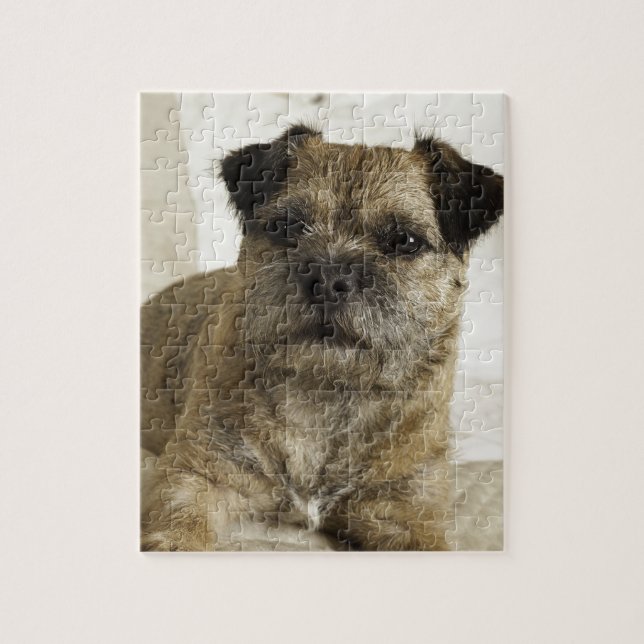 Border Terrier Jigsaw Puzzle (Vertical)
