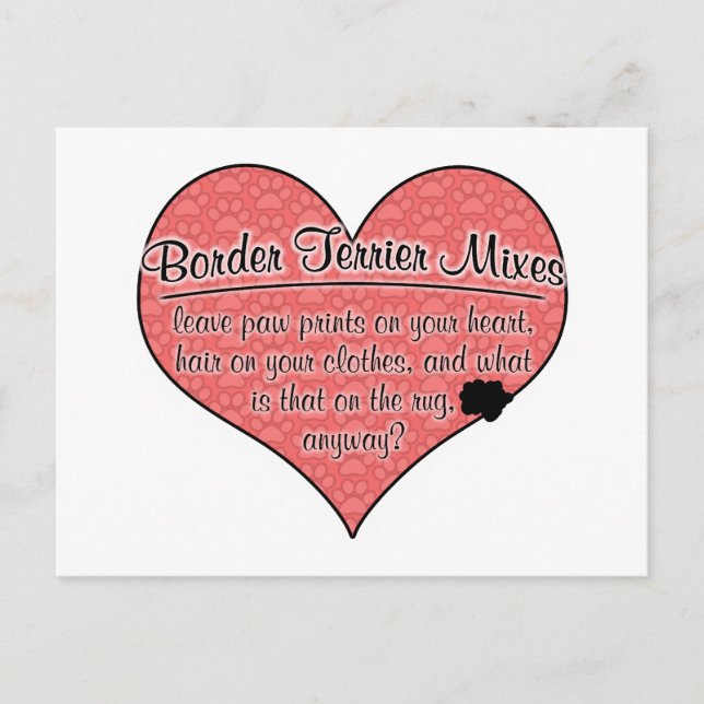 Border Terrier Mixes Paw Prints Dog Humor Postcard (Front)