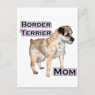 Border Terrier Mom 4 Postcard