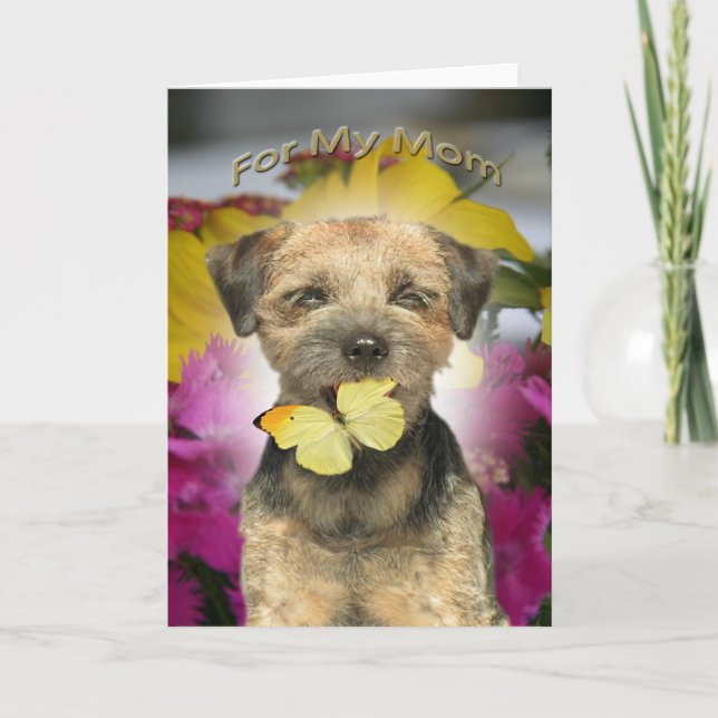 Border Terrier Mom Cards (Front)
