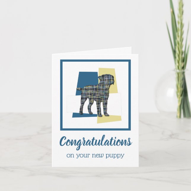 Border Terrier New Puppy Congratulations Greeting Card (Front)