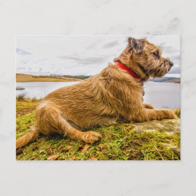 Border Terrier Oil Paint Effect Printed Postcard (Front)