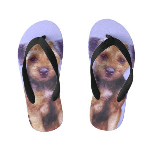 Border Terrier Painting - Cute Original Dog Art Kid's Flip Flops