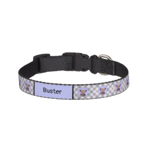Border Terrier Painting - Cute Original Dog Art Pet Collar
