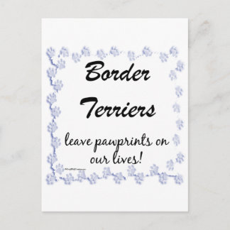 Border Terrier Pawprints Postcard