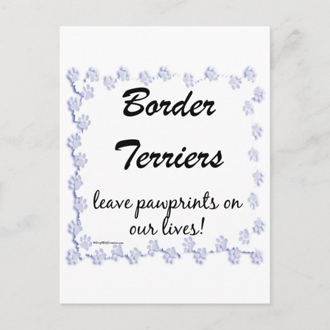 Border Terrier Pawprints Postcard (Front)