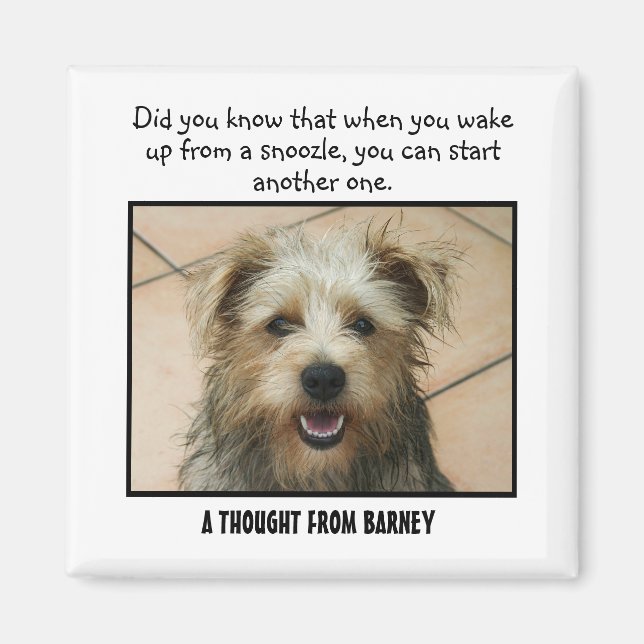 Border Terrier Personalized Custom Magnet (Front)