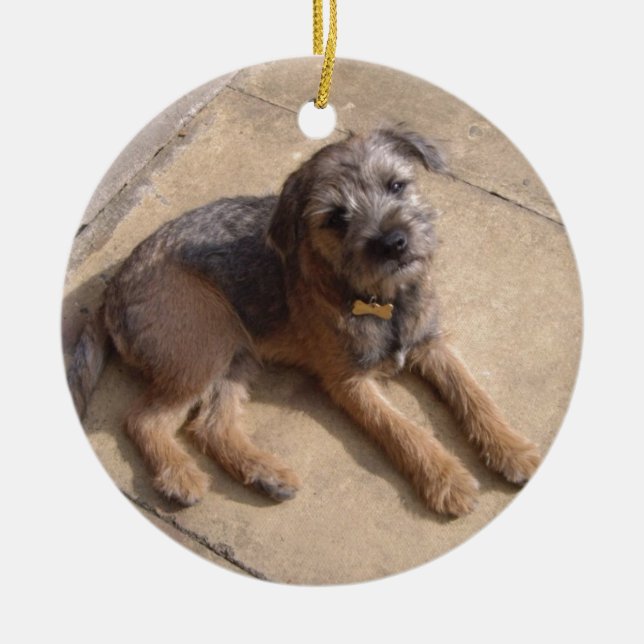 Border Terrier Puppy Ceramic Ornament (Front)