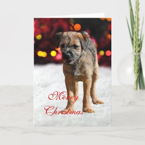 Border Terrier puppy dog custom Christmas Card