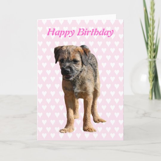 border terrier birthday