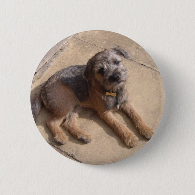 Border Terrier Puppy Pinback Button (Front)
