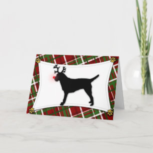 Border Terrier Reindeer Christmas Card