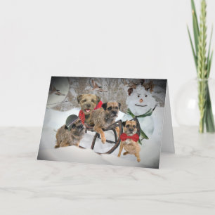 Border Terrier Tis The Season Holiday Card