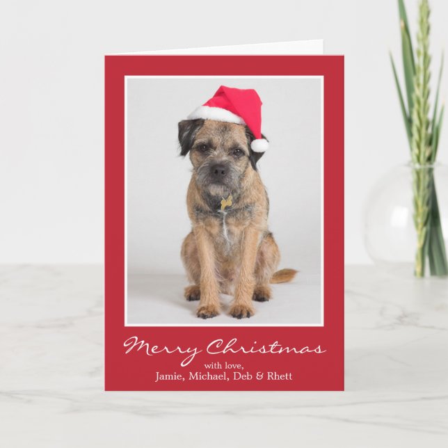 Border Terrier Wearing A Santa Hat Holiday Card (Front)