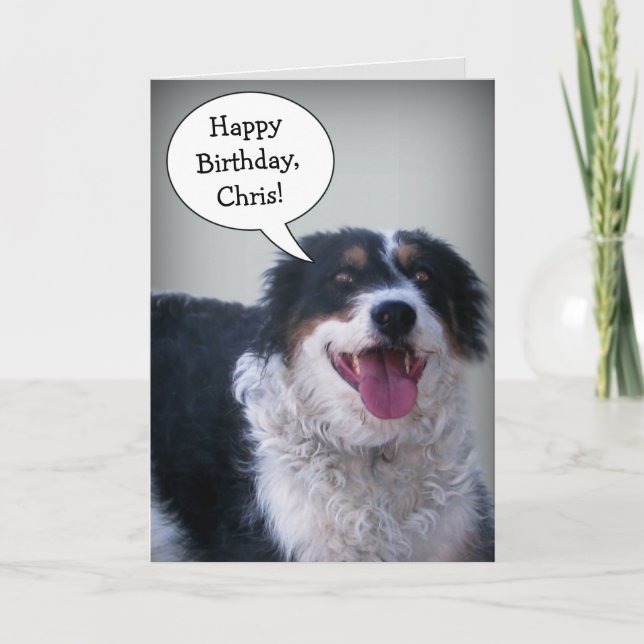 Bordercollie Birthday Card (Front)