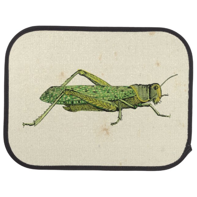 Bordered Print of Green Grasshopper Car Mat (Rear)