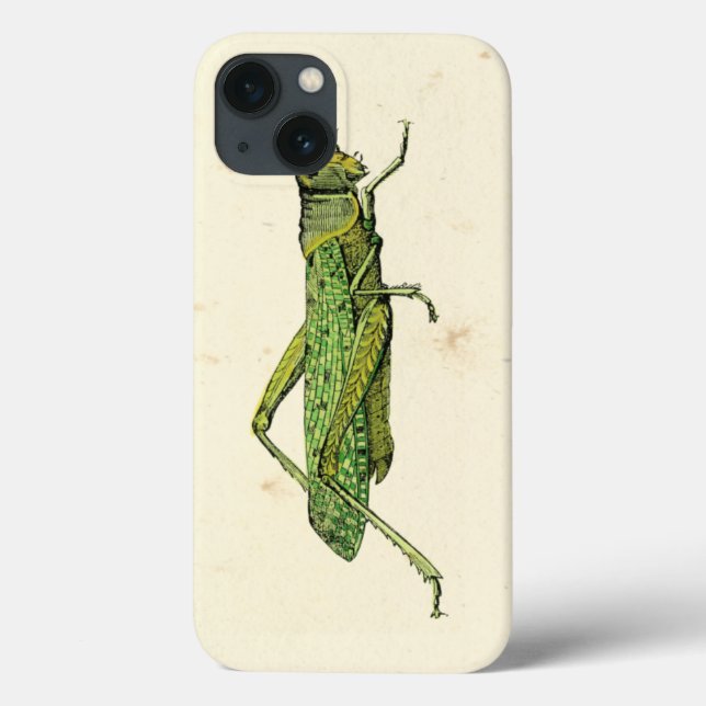 Bordered Print of Green Grasshopper Case-Mate iPhone Case (Back)