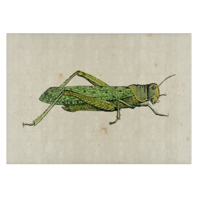 Bordered Print of Green Grasshopper Cutting Board (Front)