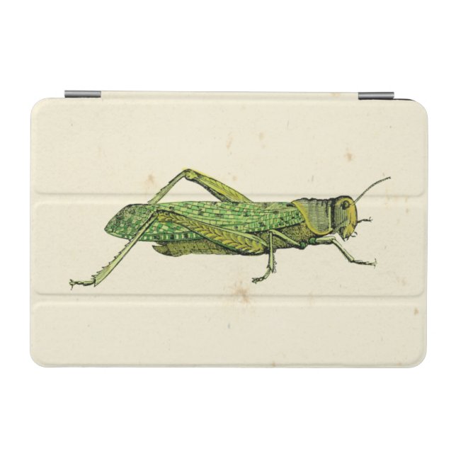 Bordered Print of Green Grasshopper iPad Mini Cover (Horizontal)