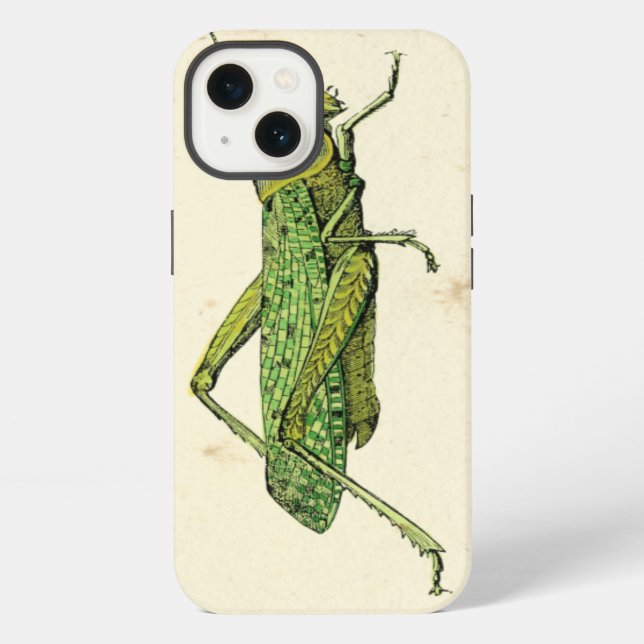 Bordered Print of Green Grasshopper Iphone Case (Back)