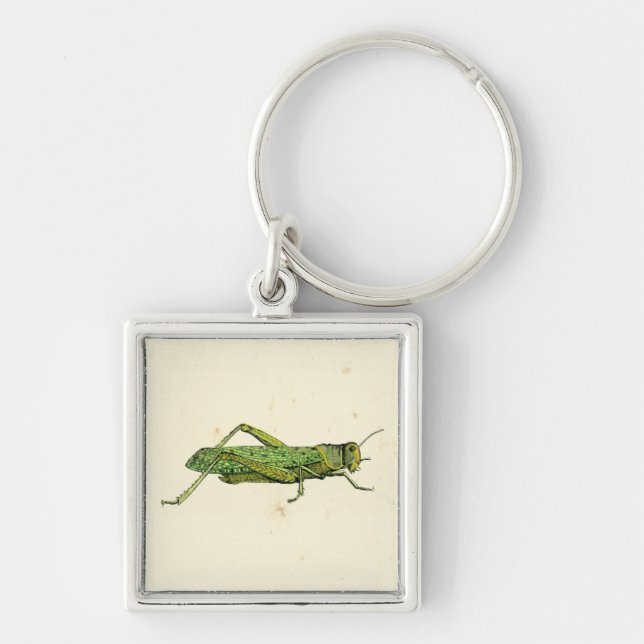 Bordered Print of Green Grasshopper Keychain (Front)