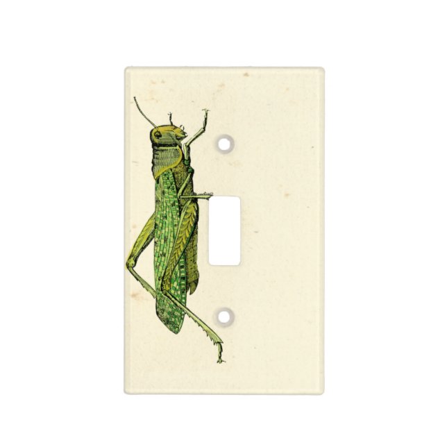Bordered Print of Green Grasshopper Light Switch Cover (Front)