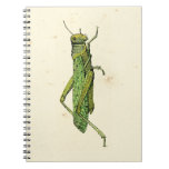 Bordered Print of Green Grasshopper Notebook