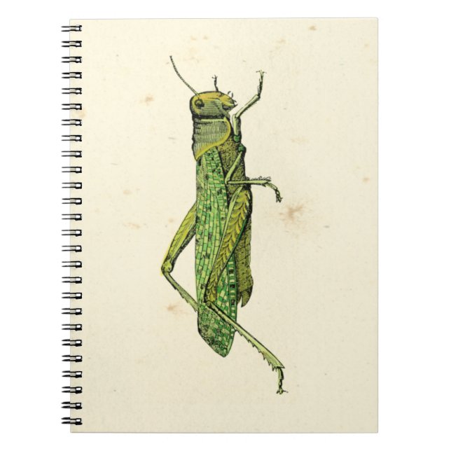 Bordered Print of Green Grasshopper Notebook (Front)