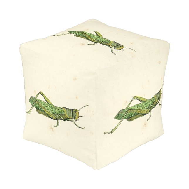 Bordered Print of Green Grasshopper Pouf (Angled Front)