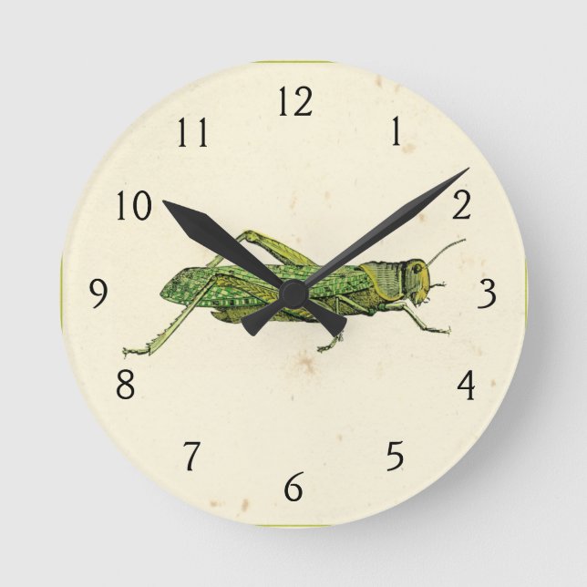 Bordered Print of Green Grasshopper Round Clock (Front)