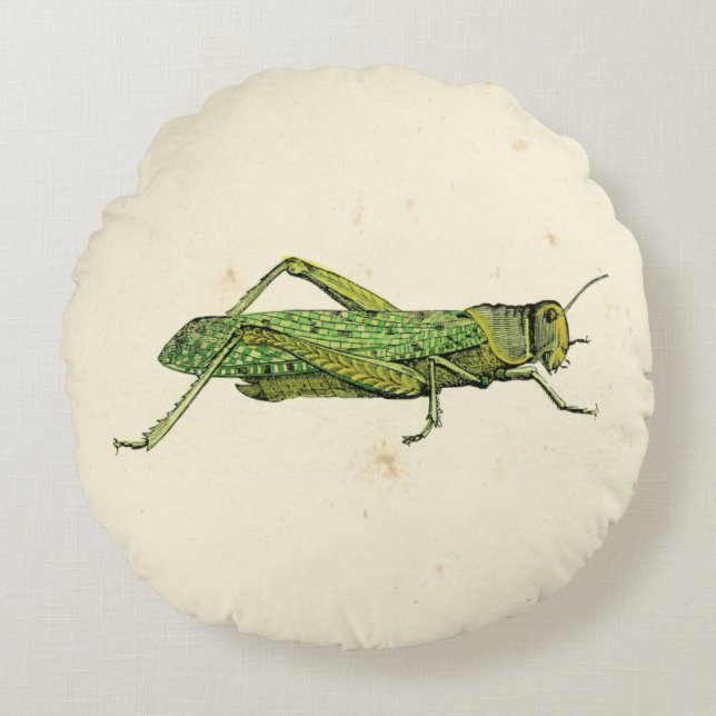 Bordered Print of Green Grasshopper Round Pillow (Front)