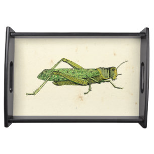 Bordered Print of Green Grasshopper Serving Tray