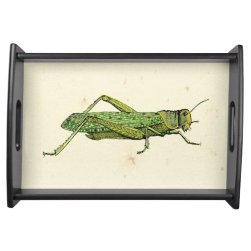Bordered Print of Green Grasshopper Serving Tray