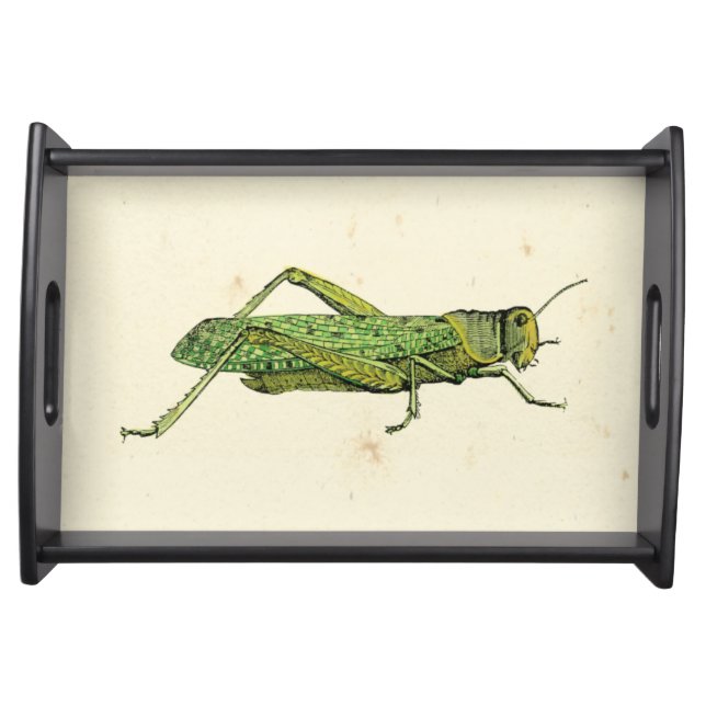 Bordered Print of Green Grasshopper Serving Tray (Front)