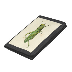 Bordered Print of Green Grasshopper Tri-fold Wallet