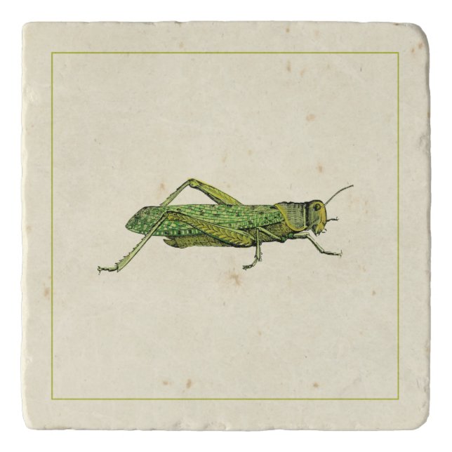 Bordered Print of Green Grasshopper Trivet (Front)