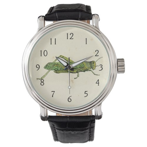 Bordered Print of Green Grasshopper Watch