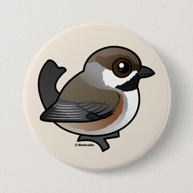 Boreal Chickadee Button (Front)