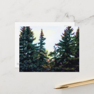 Boreal Forest Trees Canada Artsy Artistic Colorful Postcard
