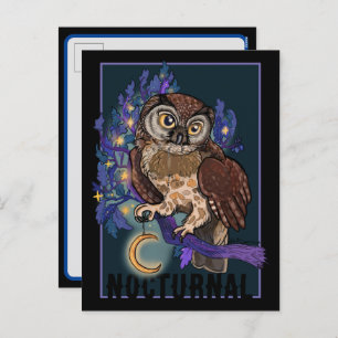 Boreal Night Tree Owl Noctural Holiday Postcard