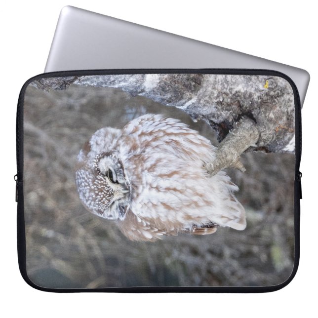 Boreal Owl Laptop Sleeve 15" (Front)