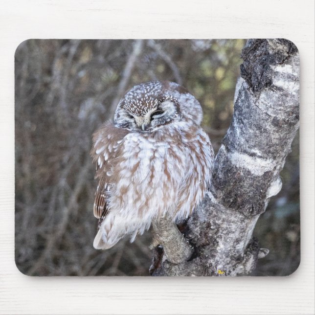 Boreal Owl Mouse Pad (Front)