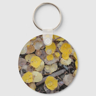 boreas pass aspens keychain