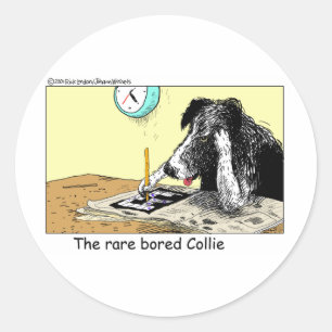 Bored Border Collie Funny Gifts Tees Collectibles Classic Round Sticker